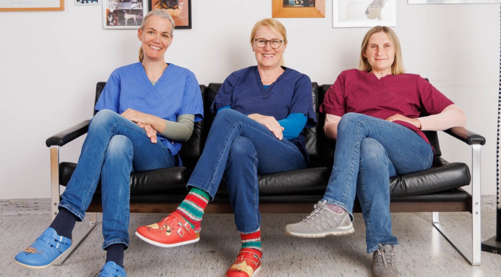 Tierärztin am Hof | Tierarzt Feldbach | Dr.med.vet Karin Gsöls | Dr.med.vet Sarah Lechner | Fritzi Hutter
